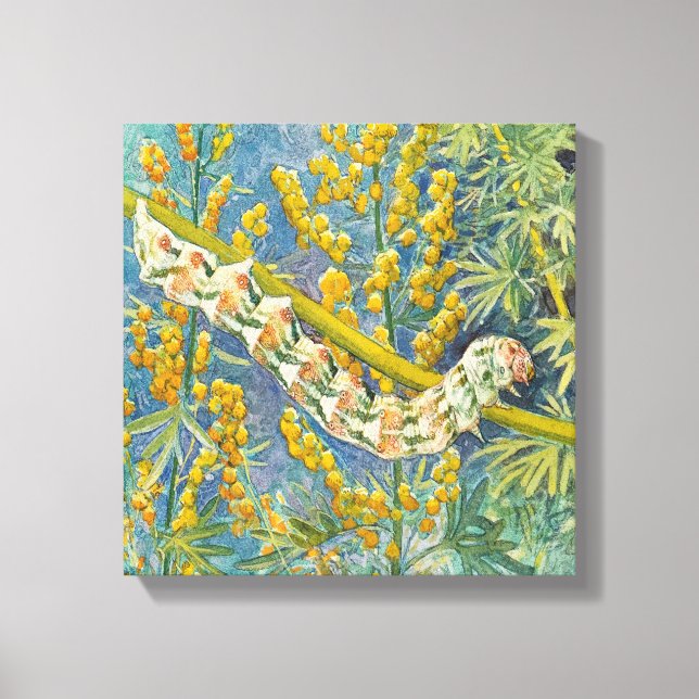 Impressão Em Tela Cucullia Absinthii Wormwood Caterln (Frente)