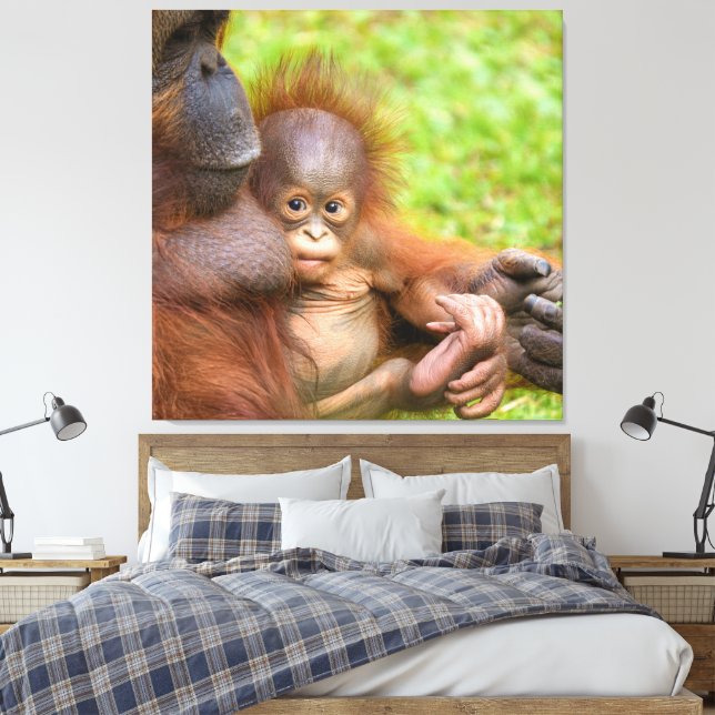Impressão Em Tela Cuddle da Mãe de Orangutan, cerejada (Insitu(Quarto))