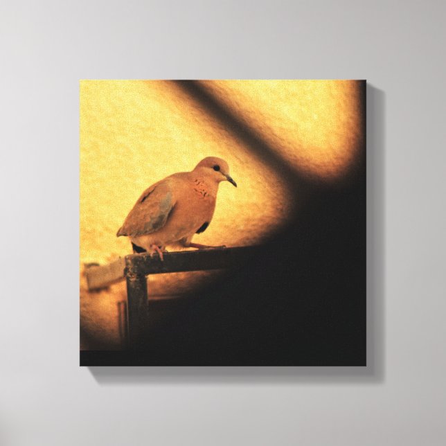 Impressão Em Tela Curiosidade (Frente)