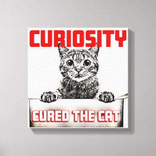 Impressão Em Tela Curiosidade Curou o Gato