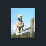IMPRESSÃO EM TELA CUTE LAMB<br><div class="desc">A photographic design of a cute little lamb.</div>