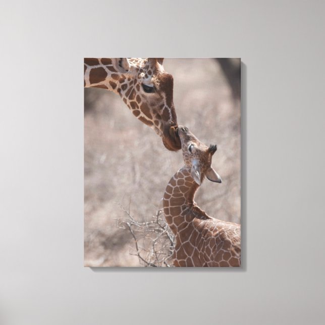 Impressão Em Tela Cutest Baby Animals | Mother and Baby Giraffe (Frente)