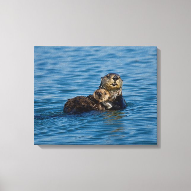 Impressão Em Tela Cutest Baby Animals | Mother & Baby Sea Otter (Frente)