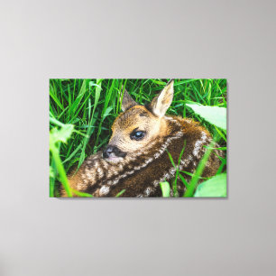 Impressão Em Tela Cutest Baby Animals Roe Deer Baby