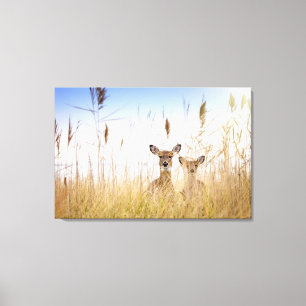 Impressão Em Tela Cutest Baby Animals Two Young White Tailed Deer