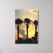Cypriot Limassol Sunset – Mediterranean Palm Trees