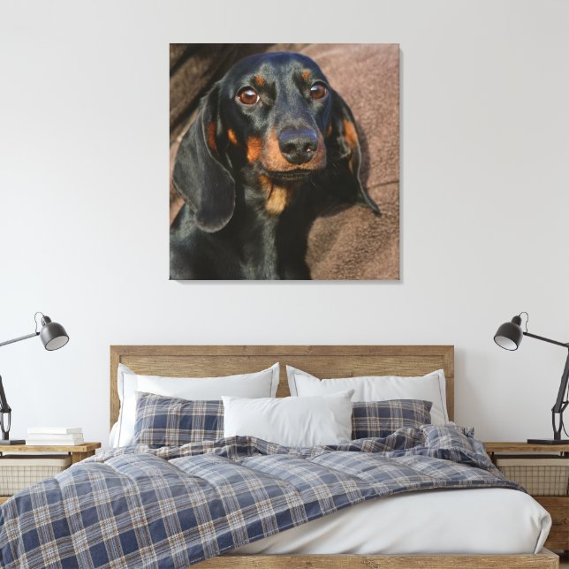 Impressão Em Tela dachshund preto e bronzeado (Insitu(Quarto))