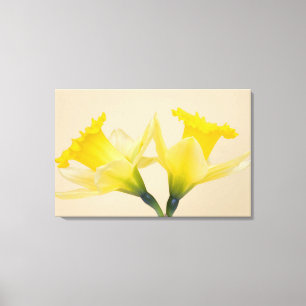 Impressão Em Tela Daffodilos amarelos