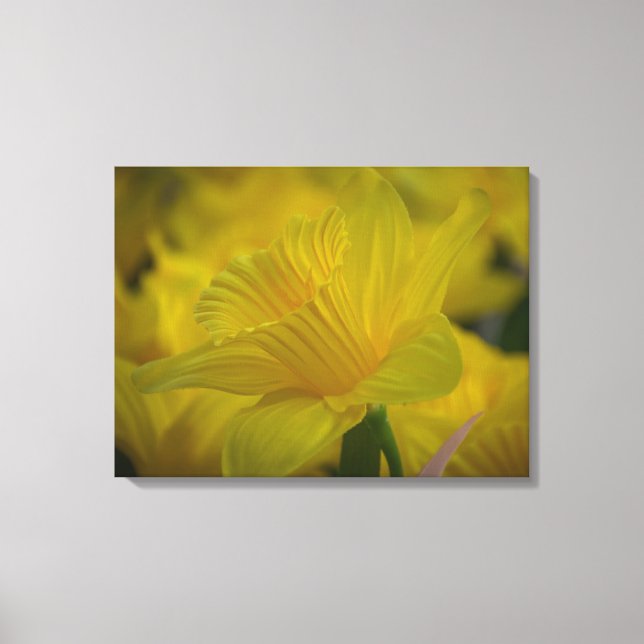 Impressão Em Tela Daffodils para cima e para baixo (Frente)