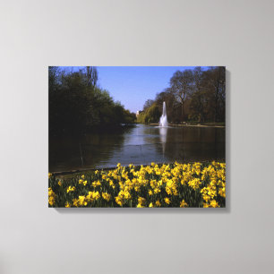 Impressão Em Tela Daffodils Rua James's Park London