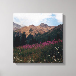 Impressão Em Tela Daisies Brancos Talkeetna Mtns.