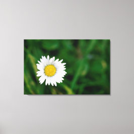 Impressão Em Tela Daisy