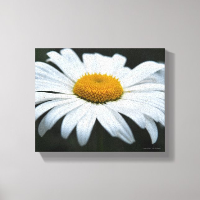 Impressão Em Tela Daisy - Enfrentar (Frente)