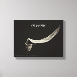 Impressão Em Tela Dance Art Balé en ponteiro Dancer