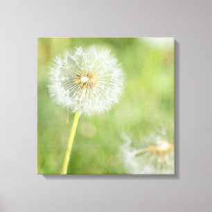 Impressão Em Tela Dandelion