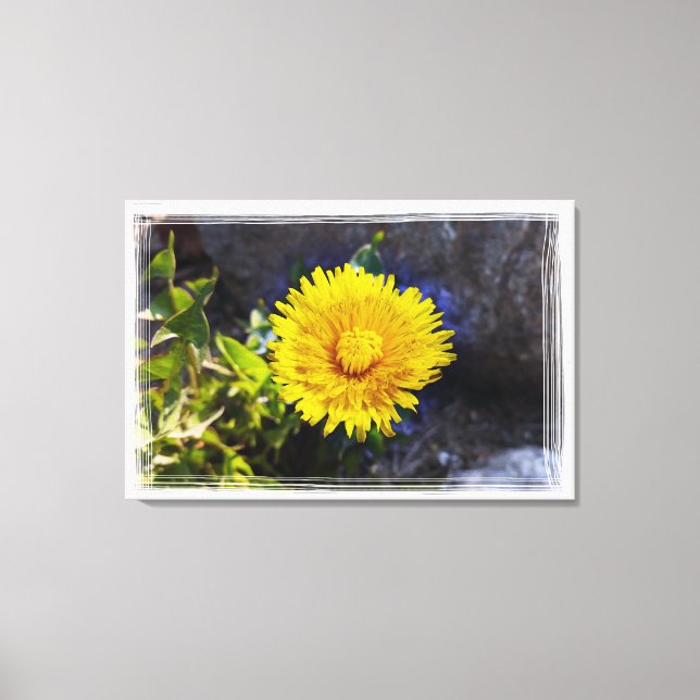 Impressão Em Tela Dandelion à luz do sol (Frente)