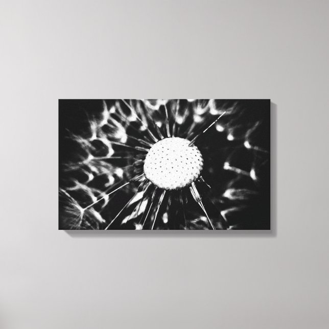 Impressão Em Tela dandelion blacq (Frente)