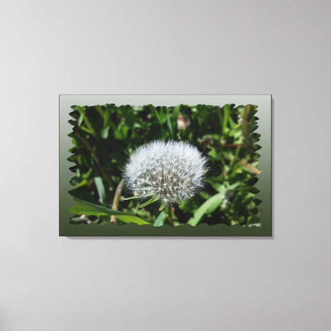 Impressão Em Tela Dandelion na grama (Frente)
