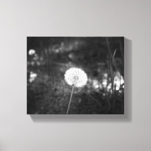 Impressão Em Tela Dandelion preto e branco no bosque 8x10