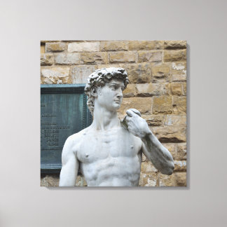 Impressão Em Tela David de Michelangelo