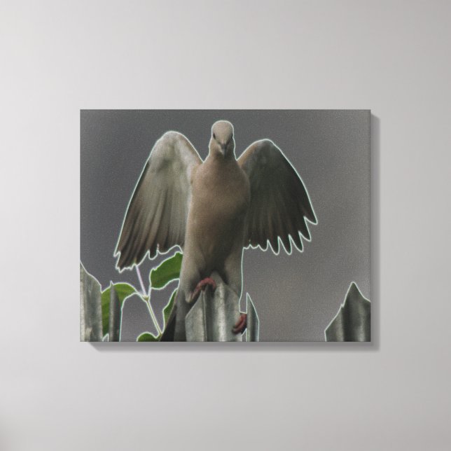 Impressão em Tela de Anjo Caído Pombo (Frente)