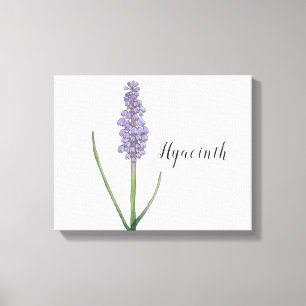 Impressão em Tela de Aquarela de Flor de Jacinto