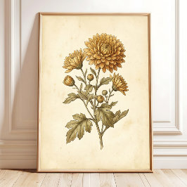 Impressão em Tela de Arte Botânica de Crisântemo V