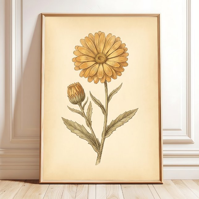 Impressão em Tela de Arte de Flor de Calendula (Criador carregado)