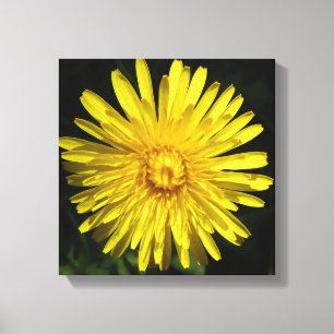 Impressão em Tela de Dandelion
