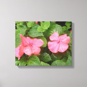 Impressão em Tela de Flores de Impatiens Rosa