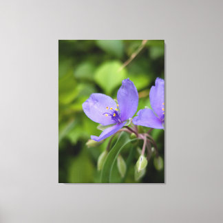 Impressão em Tela de Fotografia da Natureza