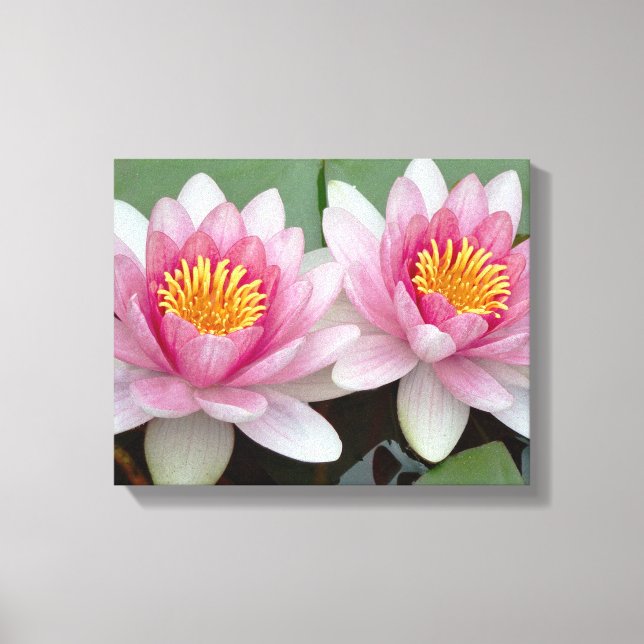 Impressão em tela de Lótus Waterlily Rosa Flutuant (Frente)