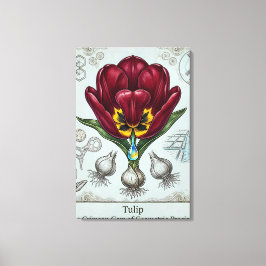 Impressão em Tela de Motivo Floral Botânico Antigo