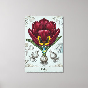 Impressão em Tela de Motivo Floral Botânico Antigo