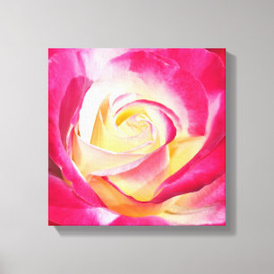 Impressão em tela de rosa rosa e amarela