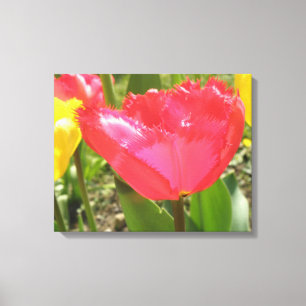 Impressão em Tela de Tulipas Franjadas