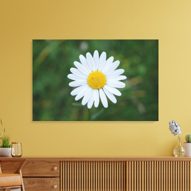 impressão em tela de uma grande flor de margarida (Insitu(Sala de estar))