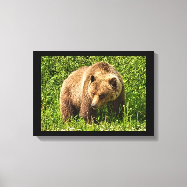 Impressão em Tela de Urso Cinzento Desajeitado (Frente)
