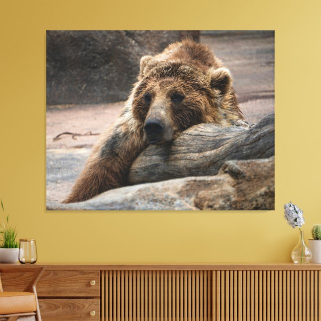 Impressão em tela de Urso Pardo Adormecido Esticad (Insitu(Sala de estar))