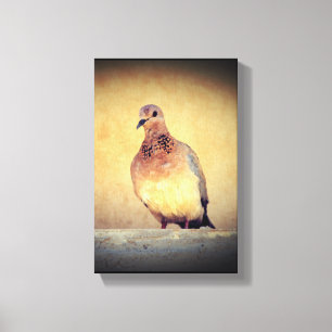 Impressão Em Tela Debonair Dove