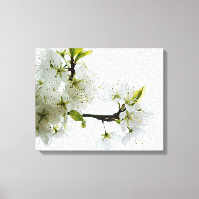 Impressão Em Tela Decor de Flor 89 (Frente)