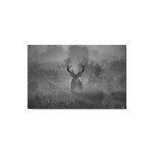 Deer In The Mist