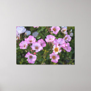 Impressão Em Tela Delícia Sem Carreira