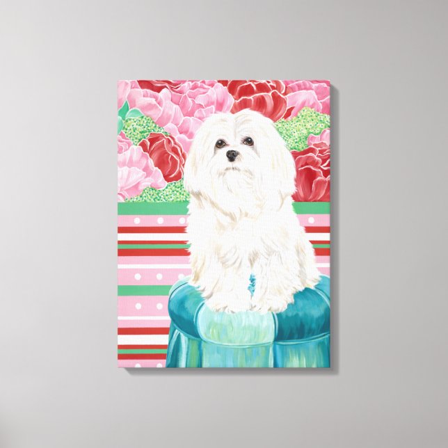 Impressão Em Tela Della Rosa maltesa (Frente)