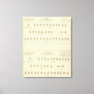 Impressão Em Tela Demência, litografia estatística dos E.U.