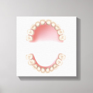 Impressão Em Tela Dentição Deciduous (dentes de bebê)