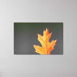 Impressão Em Tela Der Herbst von seiner schönsten Seite!