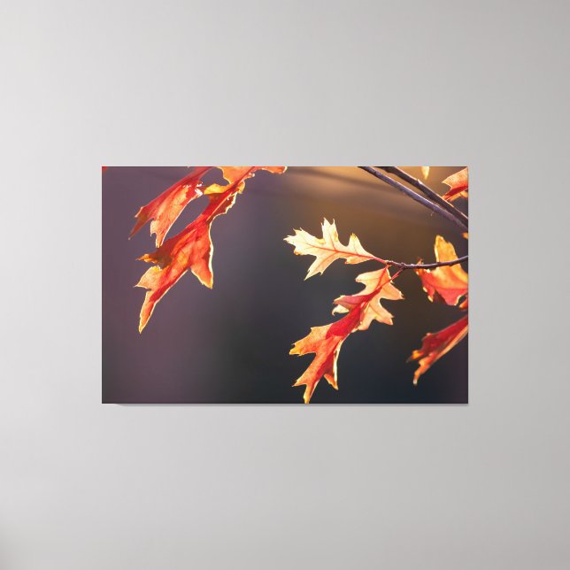 Impressão Em Tela Der Herbst von seiner schönsten Seite! (Frente)