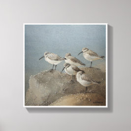 Impressão Em Tela Descanso de Sanderlings #2 Pintura de Ezartesa