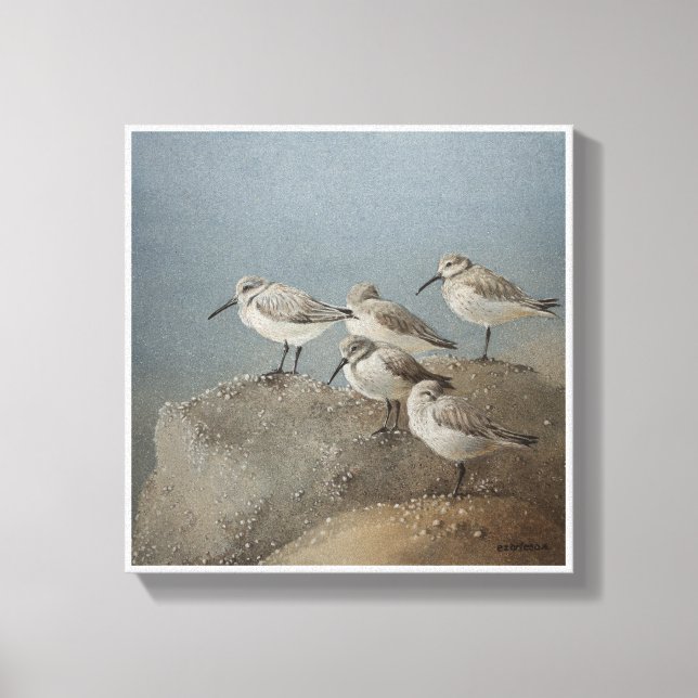 Impressão Em Tela Descanso de Sanderlings #2 Pintura de Ezartesa (Frente)
